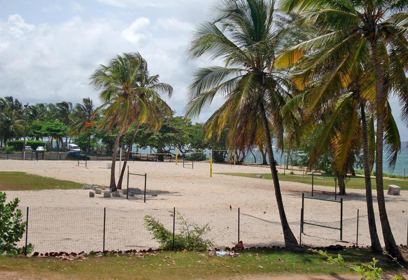 Villa Le Bord Bleu لو مول المظهر الخارجي الصورة