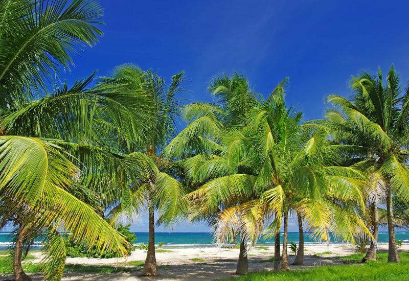 Villa Le Bord Bleu لو مول المظهر الخارجي الصورة